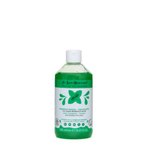 CHAMPÚ MENTA - TONIFICADOR REFRESCANTE